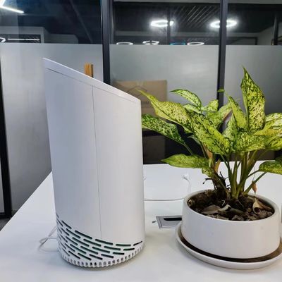 Bộ lọc mùi vật nuôi 220V HEPA với bộ lọc carbon hoạt tính bằng plasma lạnh và nấm mốc riêng