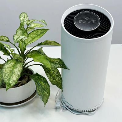 Máy lọc không khí bằng plasma lạnh HEPA với bộ lọc carbon hoạt động 36W Max Power 220V Voltage