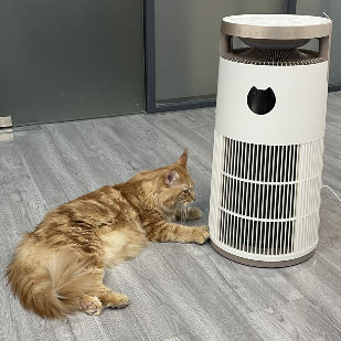 Máy lọc không khí HEPA Ozone VDETTE HP01 có hẹn giờ 220V Trắng